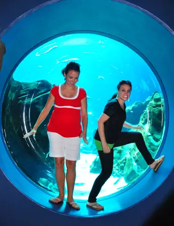 Aquariumbel