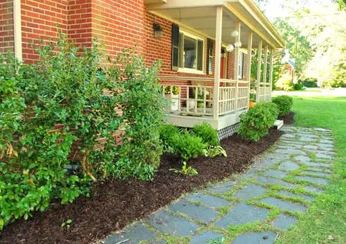 Rengjøring Mulched Front