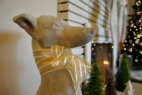 عطلة السلوقي ملموسة