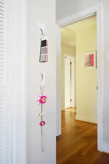 Ganci per animali 2 più da vicino