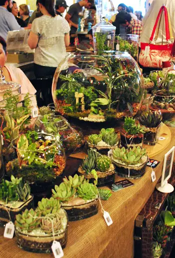 BadaBing-terrarium van Rich