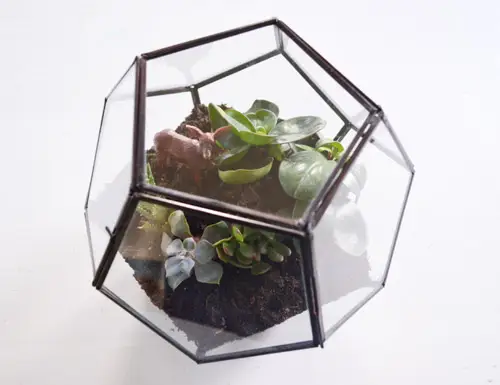 Terrarium Klaar Held