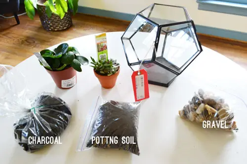 Terrariummaterialen