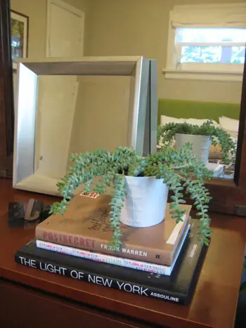 Viesu guļamistaba Burro Tail Fr