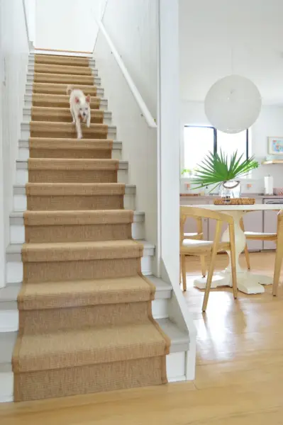 Chihuahuahond loopt de trap af met Sisal Runner