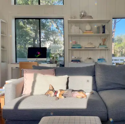Penny de chihuahua yorkie-mix geniet van een zonneplekje op de bank