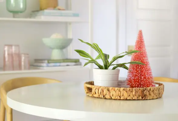 Ontbijttafelblad Met Rode Bottlebrush Kerstboom