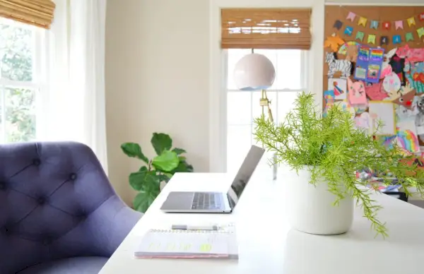 Kunstplant op bureau in thuiskantoor