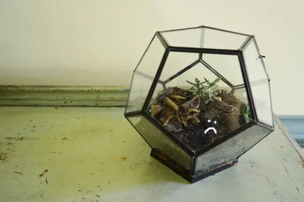 HowYouLikeMe Terrarium Droevig gezicht