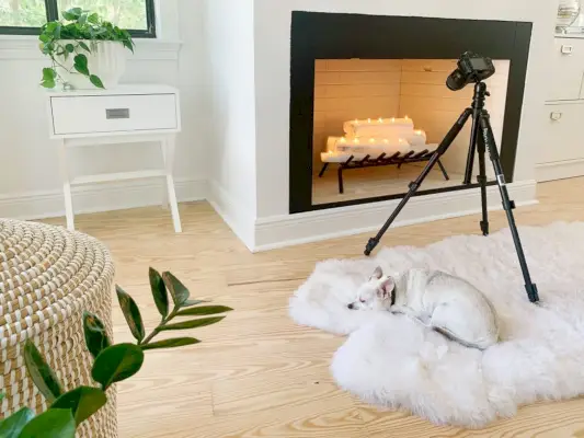 Camera op statief om een foto te maken van de open haard terwijl de chihuahua op een bontkleed eronder slaapt