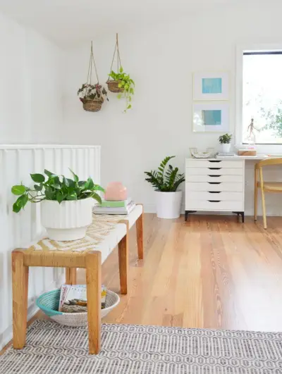 Verschillende planten op oppervlakken in de woonkamer inclusief ophanging