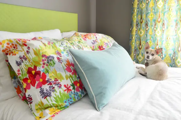Chihuahua zittend op kleurrijk bed met Sparrow Walls