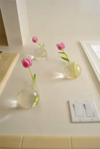 花瓶を下から