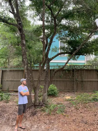 Florida huisbuitenkant naar John bij achtertuinboom 1