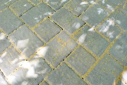 Patio nat zand scheuren