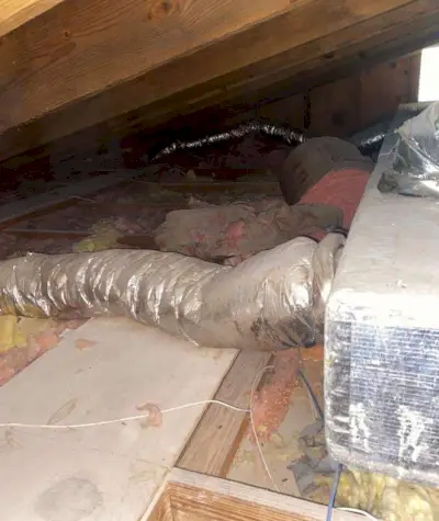 Florida Yenileme İlerlemesi Erkekler Odasının Üstüne Keşifsel Bakış