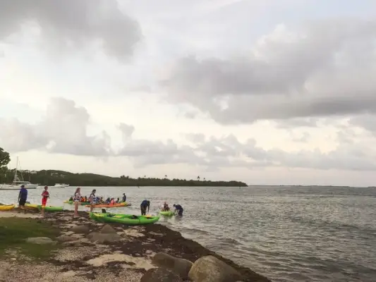 Fajardo Bio Bay-kajakken in Puerto Rico