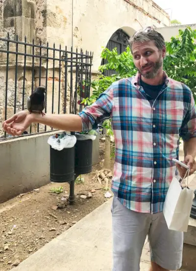 Puerto Rico Oude San Juan John Pigeon Grijns