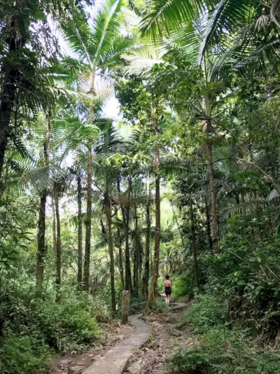 Puerto Rico El Yunque Mina-watervalwandeling
