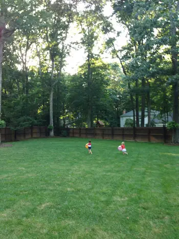Vizinho correndo ao lado