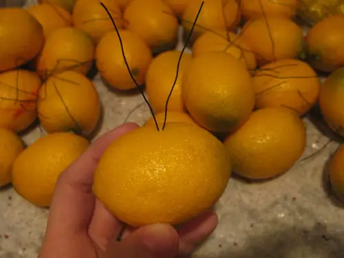 Noel DIY Limon Aksanları