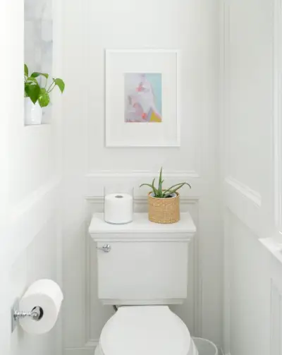 Kohler Memoires Statig toiletdetail in traditionele badkamer met wandlijst