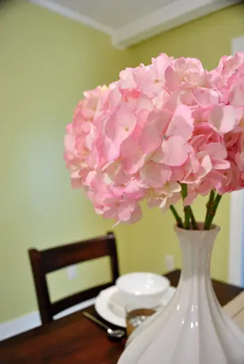 Hortensia's