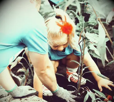 A man and girl planting flowers in a garden