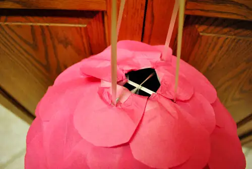 Pinata Top na schalen