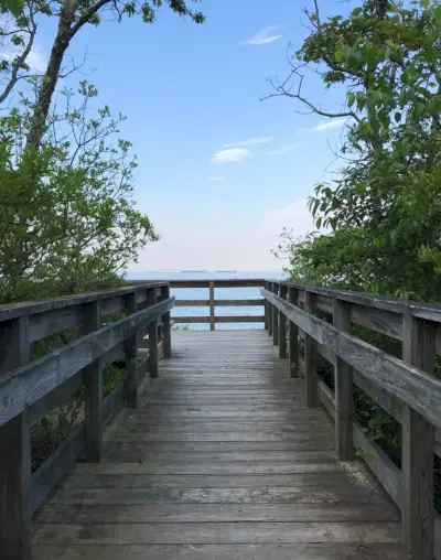 promenadewandeling in het natuurreservaat Cape Charles