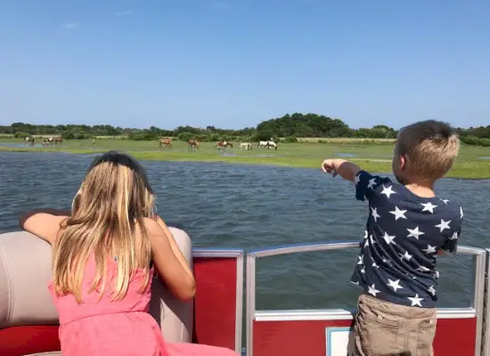 chincoteague wilde pony's gezien vanaf boot met kinderen