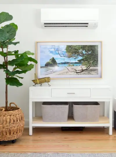 Samsung Frame TV Mini Split Altında Sahte İncir Ağacıyla