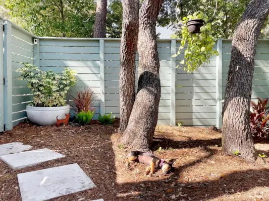 Penny de Chorkie-hond slaapt aan de voet van de boom in de zijtuin