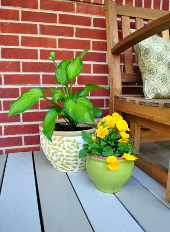 Dode veranda na Hosta