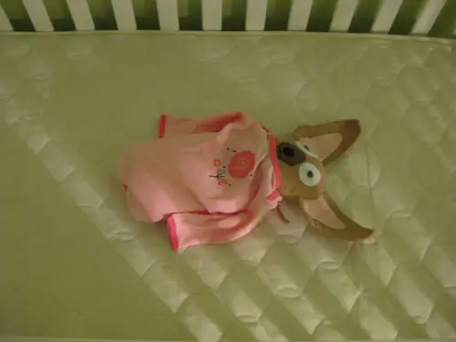 Wiegjes Baby Burgette