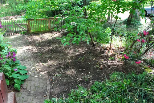Patio scavato1