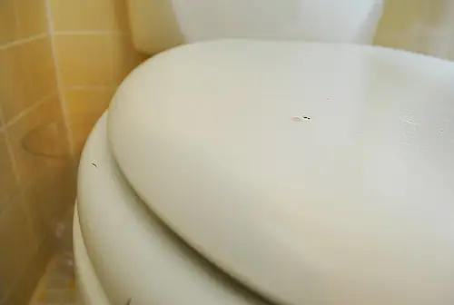 Badkamer Oud toilet