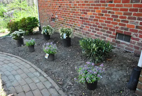 Tuin8