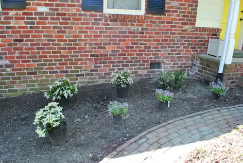 Tuin10