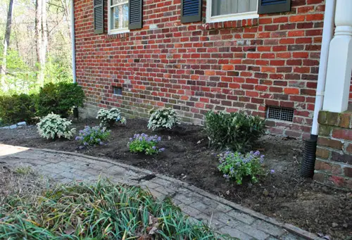 Tuin13