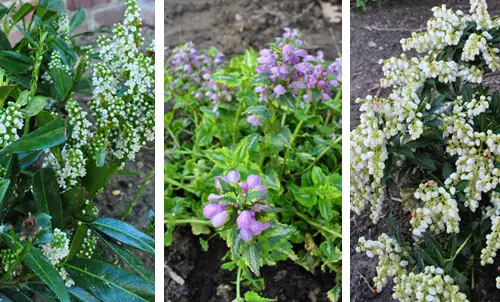 Tuin14