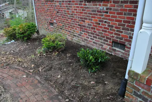 Tuin4