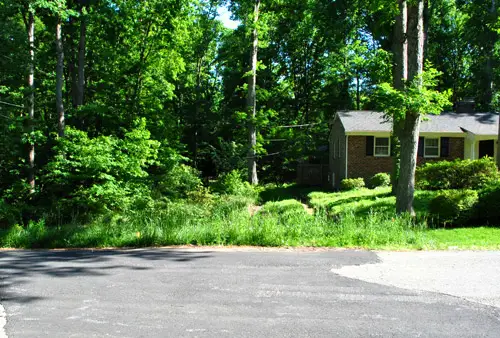 Brievenbus natuurgebied van R