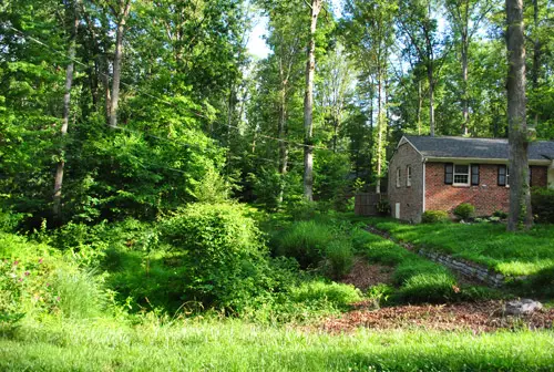 Achtertuin 2012 2