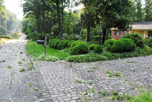 Irene voortuinpuin