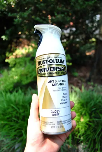 Meyveler Rustoleum Konservesi