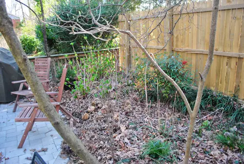 Zijtuin3