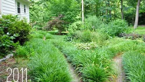 Buiten Terug 2011