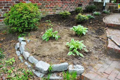 Brievenbus 10 Hosta's geplant