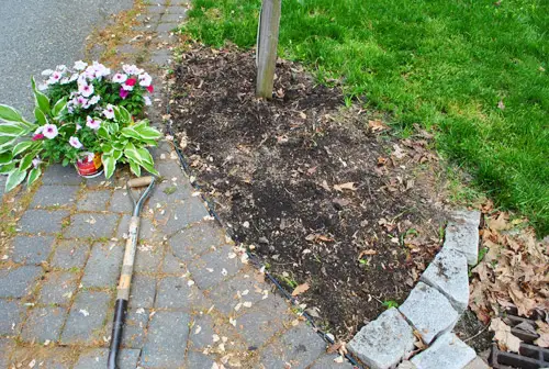 Brievenbus 6 Klaar om te planten